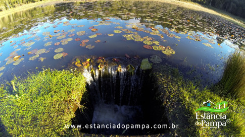 DOS EÓLICOS VIRA P FAZENDA_Moment.00_04_44_05.Quadro415_a0b1b278b8747fee00fe2379c0859765e3200f15.jpg